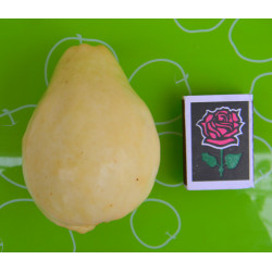 Гуайява египетская грушевидная