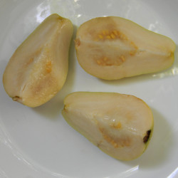 Гуайява египетская грушевидная