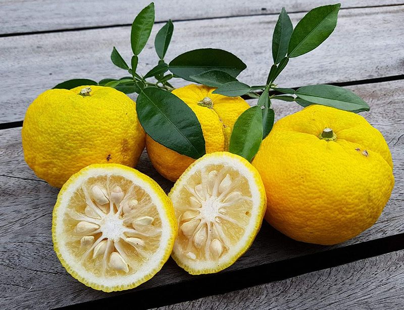 Плоды Юзу (Yuzu)